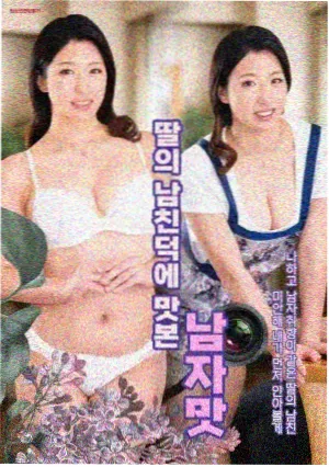 十二楼夜谈 封面